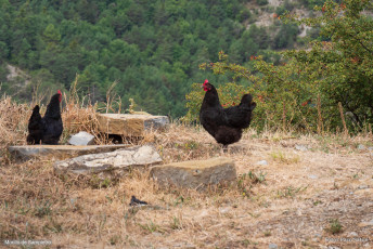 Morillo de Sampietro desde Ascaso