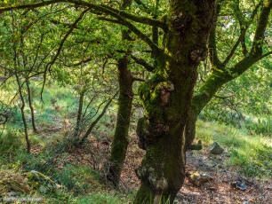 Morillo de Sampietro desde Ascaso