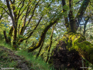 Morillo de Sampietro desde Ascaso