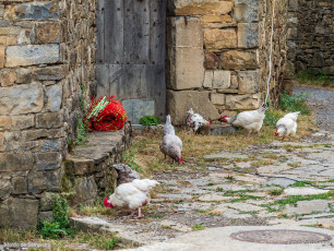 Morillo de Sampietro desde Ascaso