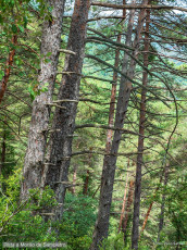 Morillo de Sampietro desde Ascaso