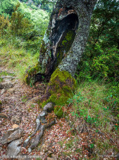 Morillo de Sampietro desde Ascaso