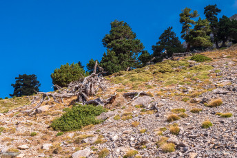 Ascensión a Peña Montañesa