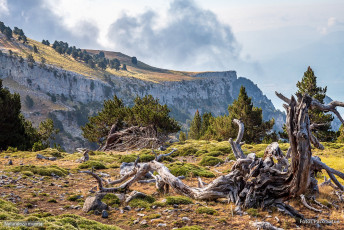 Ascensión a Peña Montañesa