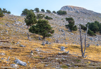 Ascensión a Peña Montañesa