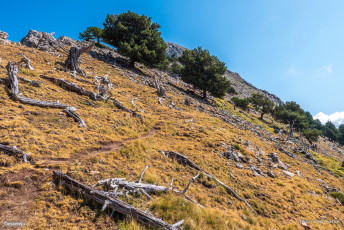 Ascensión a Peña Montañesa