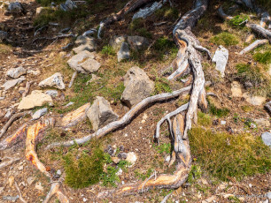 Ascensión a Peña Montañesa