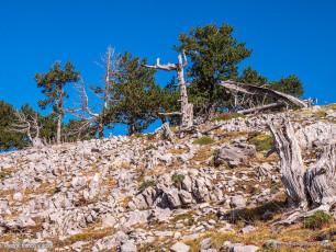 Ascensión a Peña Montañesa