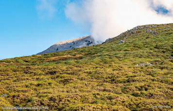 Ascensión a Peña Montañesa