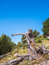 Ascensión a Peña Montañesa