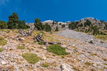 Ascensión a Peña Montañesa