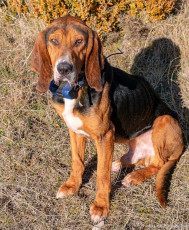 Tozal de Guara (dicembre 2019)