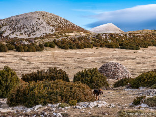 Tozal de Guara (dicembre 2019)